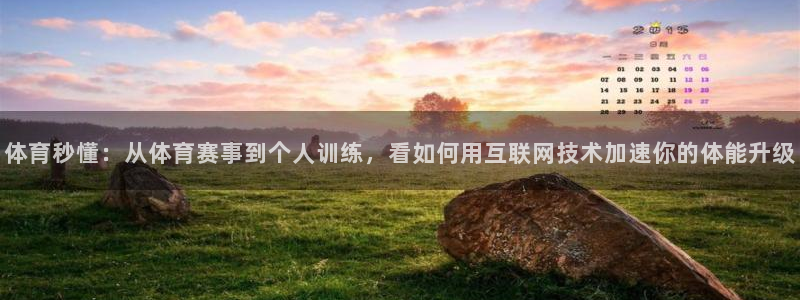 西瓜看球官网