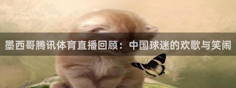 西瓜看球免费观看