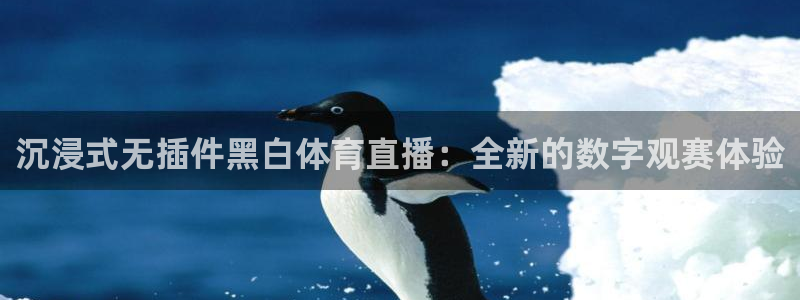 西瓜看球app官网：沉浸式无插件黑白体育直播：全新的数字观赛体验