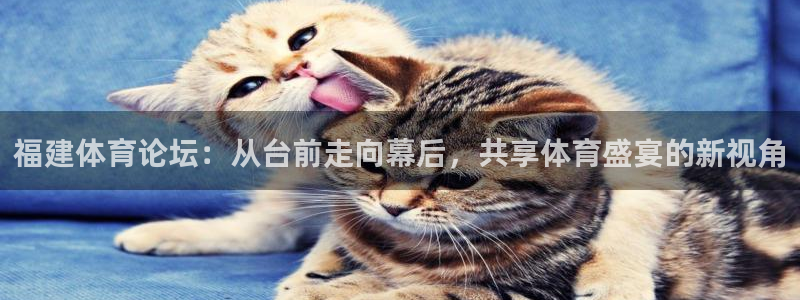 西瓜看球nba直播在线观看