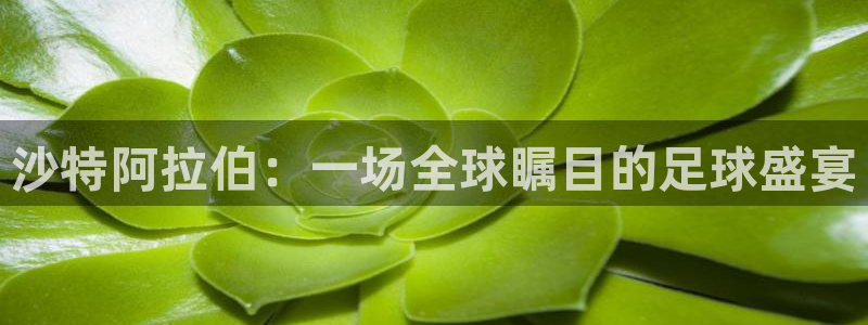 西瓜看球在线观看：沙特阿拉伯：一场全球瞩目的足球盛宴