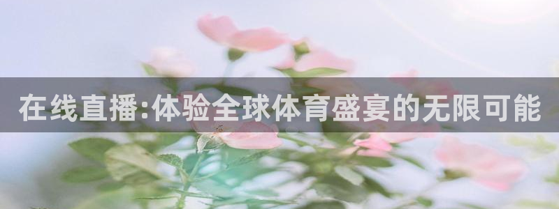 西瓜看球免费观看