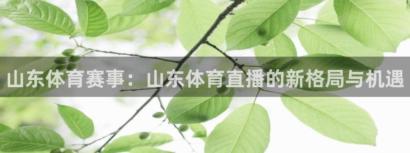 西瓜看球直播平台：山东体育赛事：山东体育直播的新格局与机遇